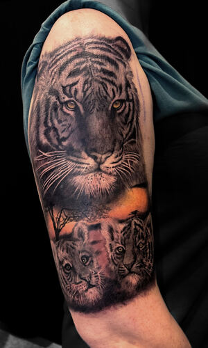 Realistic Tigers Tattoo